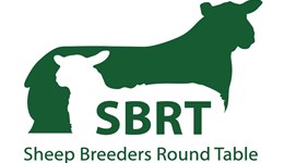 Sheep Breeders Round Table 2026